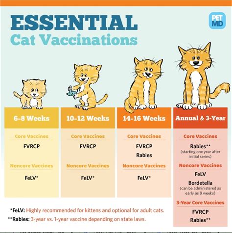 Regular vet visits and <b>vaccinations</b> are essential for your pet’s well-being. . How much do cat vaccinations cost at petco